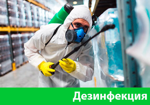 Дезинфекция в городе Сарапул