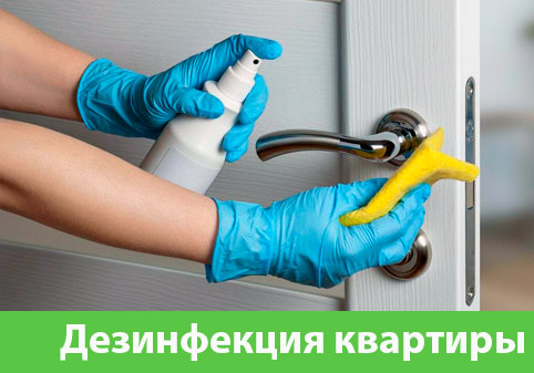 Дезинфекция квартиры в городе Сарапул