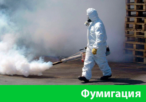 Фумигация в городе Сарапул
