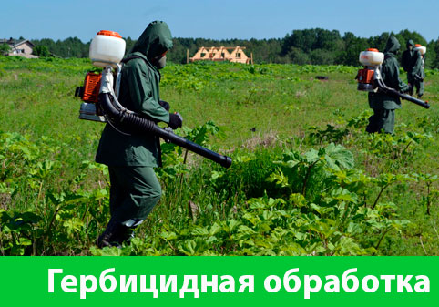 Гербицидная обработка в городе Сарапул