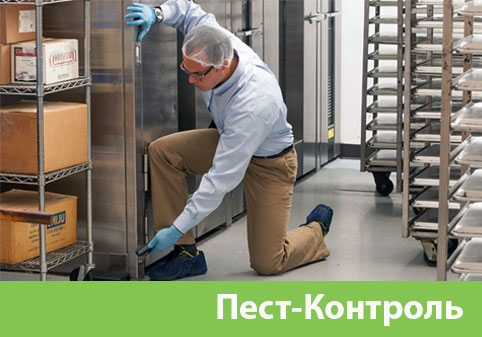 Пэст-Контроль в городе Сарапул