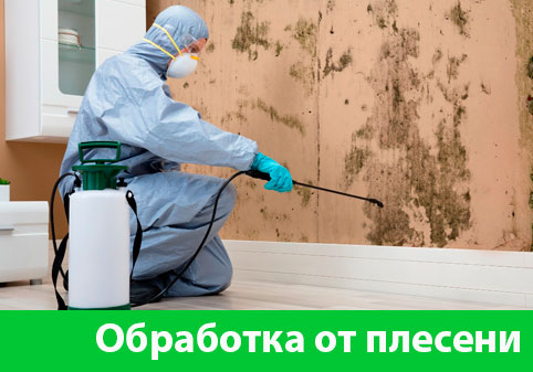 Обработка от плесени в городе Сарапул