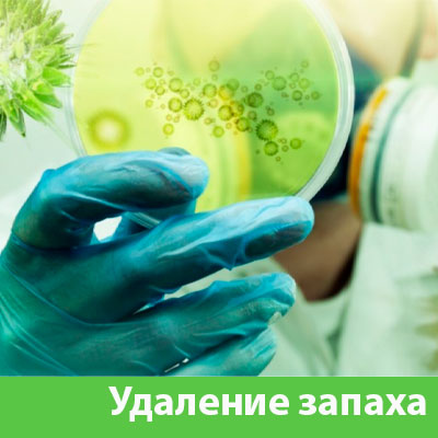 Удаление запахов в Сарапуле